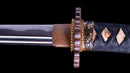 Antikes Japanisches Katana von Iwagami Sadahiro