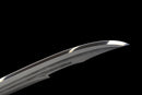 Dämmerbringer Taktisches Odachi — DLC Elite