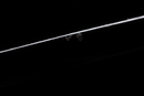 Antique Japanese Sword Katana Inaba no kuni Kanesaki — Tamahagane