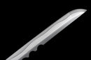 Bloodshade Katana - Assassin's Creed Shadow (Limitierte Auflage)
