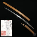 Wakizashi NBTHK, Yamashirodaijo Fujiwara Yoshiyuki, Keichō-Shintō