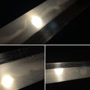 Wakizashi NBTHK, Yamashirodaijo Fujiwara Yoshiyuki, Keichō-Shintō