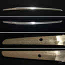 Wakizashi NBTHK, Yamashirodaijo Fujiwara Yoshiyuki, Keichō-Shintō