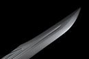 Titanium Ronin Taktisches Katana (Limitiert)