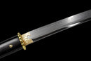 Ghost of Yotei Gilded Night Katana