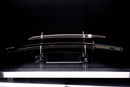 Wakizashi Shinano no Kami Fujiwara Daidō - NBTHK Tokubetsu Hozon