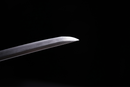 Antique Japanese Sword Katana Hachiya Kanesada — Tamahagane