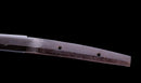 Antique Japanese Katana Sword Ryokai Shigeyoshi - Hozon — Tamahagane