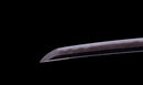 Antique Japanese Katana Sword Ryokai Shigeyoshi - Hozon — Tamahagane