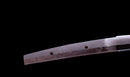 Antique Japanese Katana Sword Ryokai Shigeyoshi - Hozon — Tamahagane