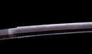 Antique Japanese Katana Sword Ryokai Shigeyoshi - Hozon — Tamahagane
