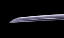 Antique Japanese Katana Sword - Muromachi Uda School, Double NBTHK Hozon — Tamahagane