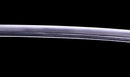 Antique Japanese Katana Sword - Muromachi Uda School, Double NBTHK Hozon — Tamahagane