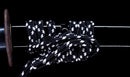 Antikes Japanisches Katana mit schwarzem Urushi-Koshirae und Feder-Tsuba, signiert Chikushi Tadamasa – NBTHK Hozon