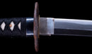 Antikes Japanisches Katana mit schwarzem Urushi-Koshirae und Feder-Tsuba, signiert Chikushi Tadamasa – NBTHK Hozon