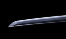 Antikes Japanisches Katana mit schwarzem Urushi-Koshirae und Feder-Tsuba, signiert Chikushi Tadamasa – NBTHK Hozon