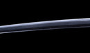 Antikes Japanisches Katana mit schwarzem Urushi-Koshirae und Feder-Tsuba, signiert Chikushi Tadamasa – NBTHK Hozon