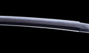 Antikes Japanisches Katana mit schwarzem Urushi-Koshirae und Feder-Tsuba, signiert Chikushi Tadamasa – NBTHK Hozon