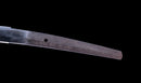 Antikes Japanisches Katana mit schwarzem Urushi-Koshirae und Feder-Tsuba, signiert Chikushi Tadamasa – NBTHK Hozon