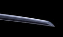 Antikes Japanisches Katana mit schwarzem Urushi-Koshirae und Feder-Tsuba, signiert Chikushi Tadamasa – NBTHK Hozon