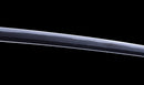 Antikes Japanisches Katana mit schwarzem Urushi-Koshirae und Feder-Tsuba, signiert Chikushi Tadamasa – NBTHK Hozon