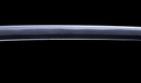 Antikes Japanisches Katana mit schwarzem Urushi-Koshirae und Feder-Tsuba, signiert Chikushi Tadamasa – NBTHK Hozon