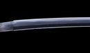 Antikes Japanisches Katana mit schwarzem Urushi-Koshirae und Feder-Tsuba, signiert Chikushi Tadamasa – NBTHK Hozon