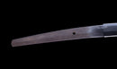 Antikes Japanisches Katana mit schwarzem Urushi-Koshirae und Feder-Tsuba, signiert Chikushi Tadamasa – NBTHK Hozon