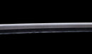 Antikes Japanisches Katana mit Karakusa-Tsuba, signiert Chōshū Fujiwara Kiyoshige – NBTHK Hozon