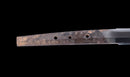 Antikes Japanisches Katana mit Karakusa-Tsuba, signiert Chōshū Fujiwara Kiyoshige – NBTHK Hozon