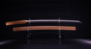 Antikes Japanisches Schwert Katana von Takasaki Morishige (Hozon)