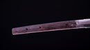 Antikes Japanisches Schwert Katana von Takasaki Morishige (Hozon)