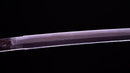 Antikes Japanisches Schwert Katana von Takasaki Morishige (Hozon)