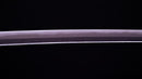Antikes Japanisches Schwert Katana von Takasaki Morishige (Hozon)