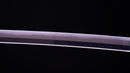 Antikes Japanisches Schwert Katana von Takasaki Morishige (Hozon)