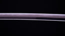 Antikes Japanisches Schwert Katana von Takasaki Morishige (Hozon)