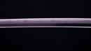 Antikes Japanisches Schwert Katana von Takasaki Morishige (Hozon)
