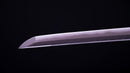 Antikes Japanisches Schwert Katana von Takasaki Morishige (Hozon)
