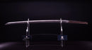 Antikes Japanisches Schwert Katana von Takasaki Morishige (Hozon)
