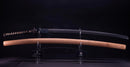 Antikes Japanisches Katana-Schwert, von Jumyo (Hozon)
