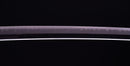 Antikes Japanisches Katana-Schwert, signiert von Chounsai Emura (Hozon)