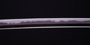 Antikes Japanisches Katana von Sue-Bizen (Hozon)