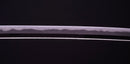 Antikes Japanisches Katana von Sue-Bizen (Hozon)