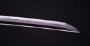 Antikes Japanisches Katana von Sue-Bizen (Hozon)