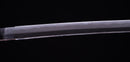 Antique Japanese Katana Sword with Iron Tsuba and Black Lacquet Mountings — Tamahagane