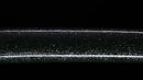 Antique Japanese Katana Sword signed Seki-ju Kaneyoshi with Beautiful Green Saya. — Tamahagane