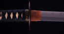 Antique Japanese Katana Sword with Iron Tsuba and Black Lacquet Mountings — Tamahagane