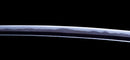 Antique Japanese Katana Sword signed Taira Sadashige — Tamahagane