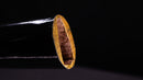 Antique Japanese Katana Sword signed Taira Sadashige — Tamahagane