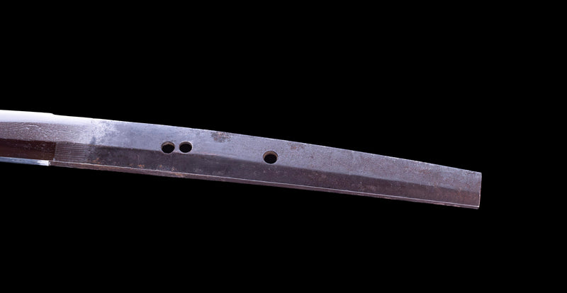 Antikes Japanisches Katana von Takada Jū Fujiwara Muneyuki - HOZON